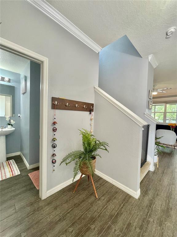 Building Photo - 4501 Baler Trails Dr
