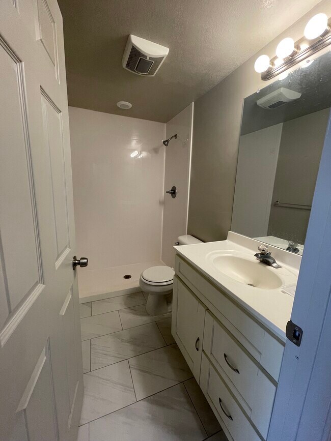 Baño del sótano - 466 E Apple Grove Ln