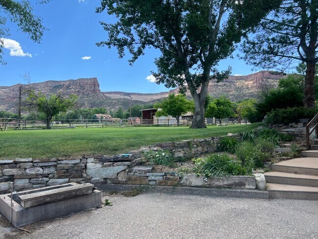 South view in Summer - 636 19 1/2 Rd