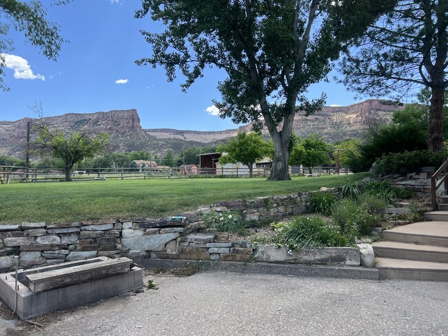 South view in Summer - 636 19 1/2 Rd