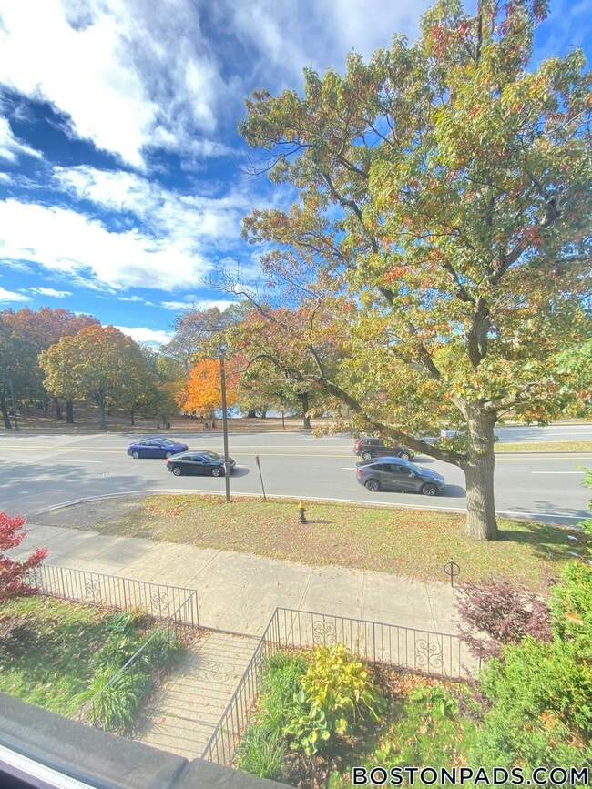 Foto del edificio - 70 Jamaicaway