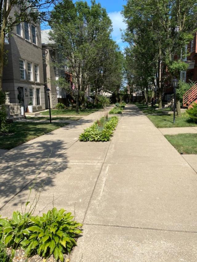 Ellis Place Neighbourhood - 4055 S Ellis Ave