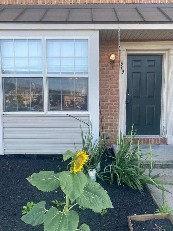Foto principal - 1905 Shady Oak Dr