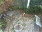 Foto principal - 1508 N Wieland St
