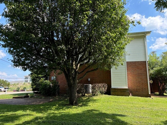 Building Photo - 241 Macfie Dr