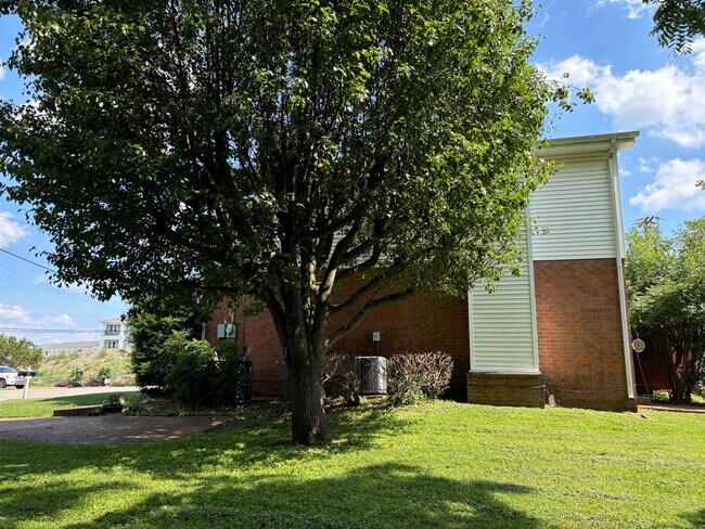 Foto del edificio - 241 Macfie Dr