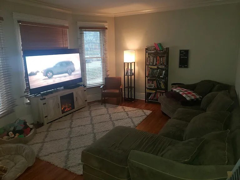 Living Room - 1210 Park Ave