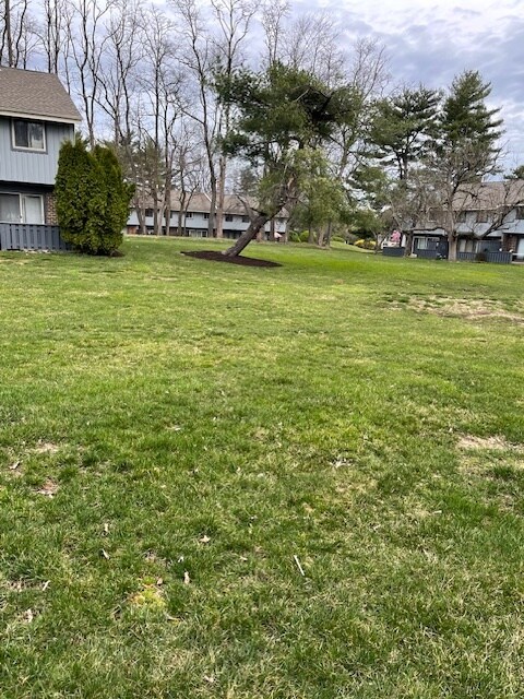 backyard wide open green area - 96 Van Buren Rd