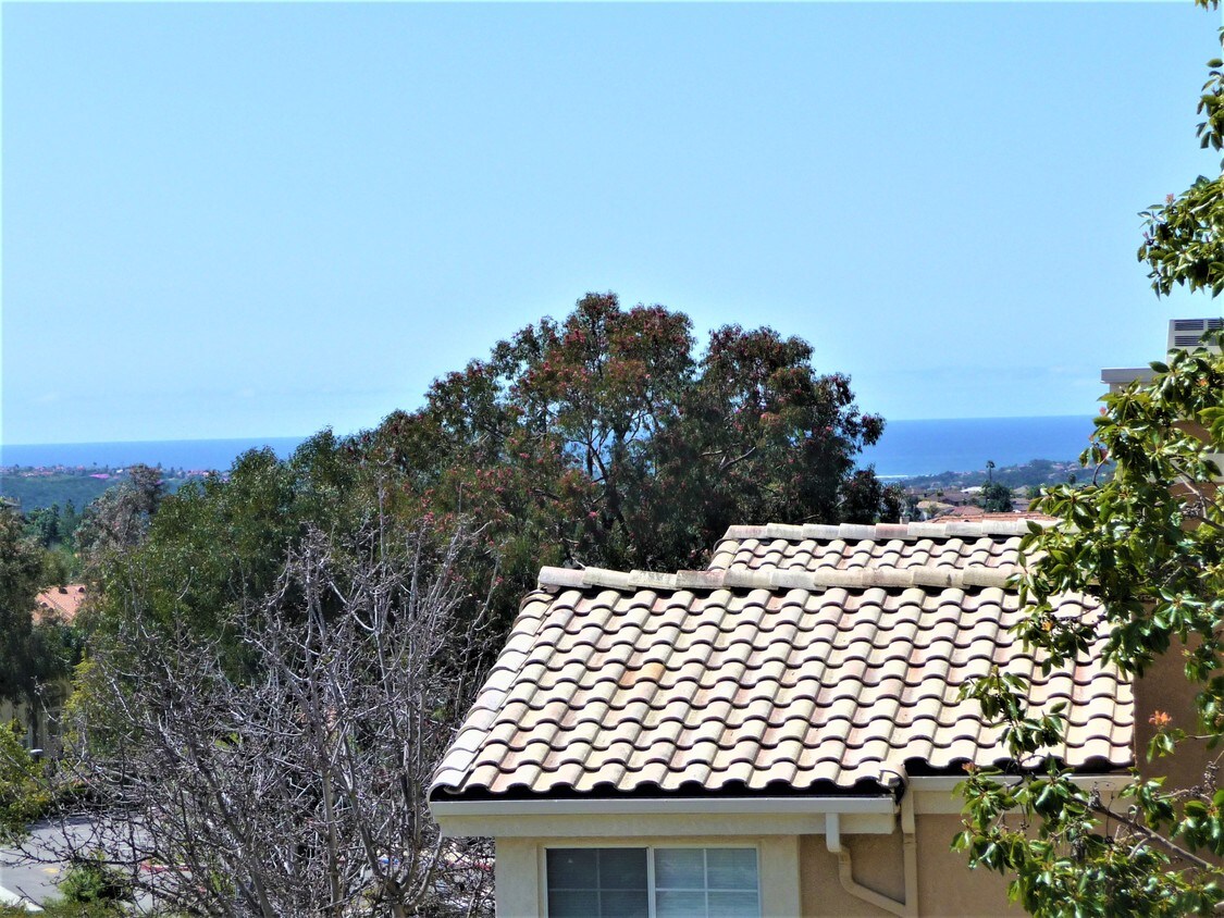 6980 Ballena Way, Carlsbad, CA 92009 Condo for Rent in Carlsbad, CA