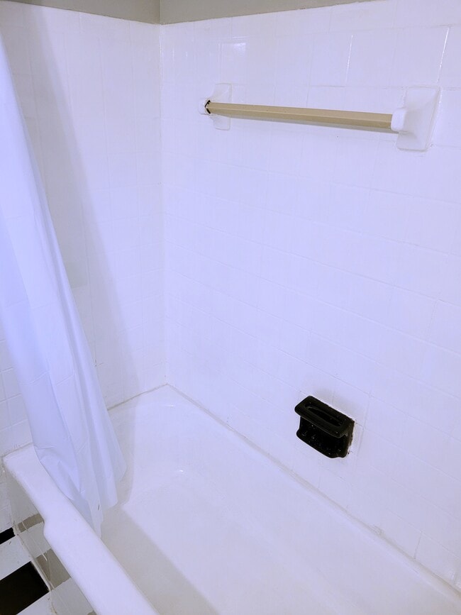 Bathtub shower - 358 E Duncan St