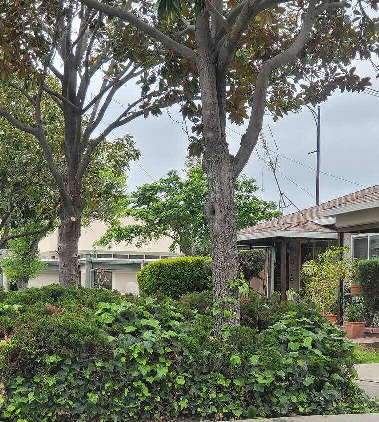 Foto principal - 707 N 3rd St
