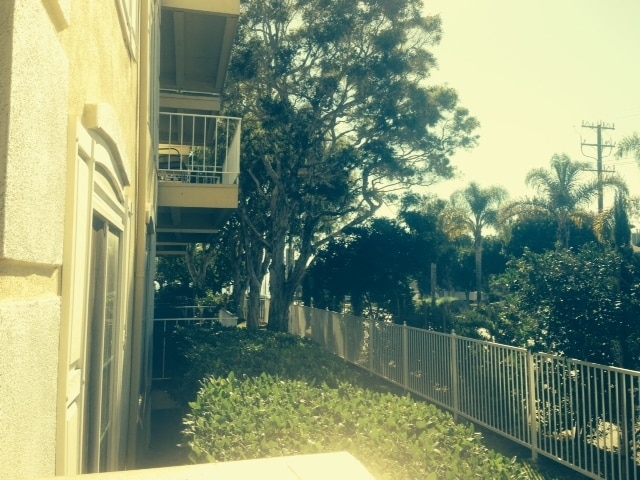 Building Photo - 500 Cagney Ln