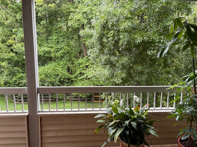 Cara al bosque - 113 Cascade Ct