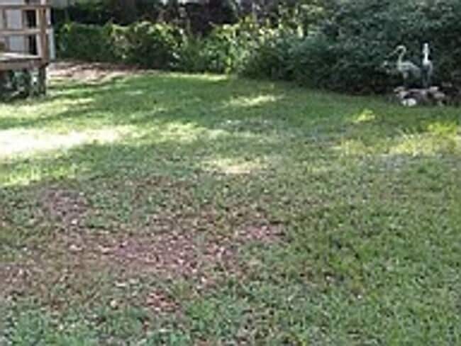 Building Photo - 20909 SE 157th St