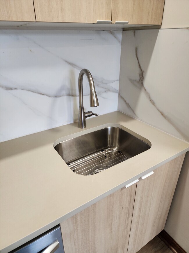 Deep sink - 2155 W Polk St