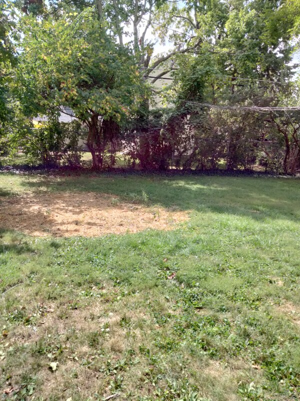 Building Photo - 519 Kenbrook Dr