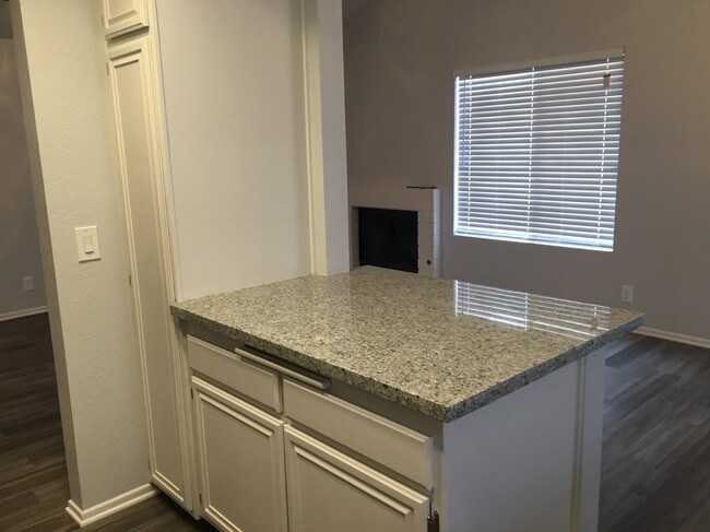 Kitchen / Bar - 1033 Ficus Ln