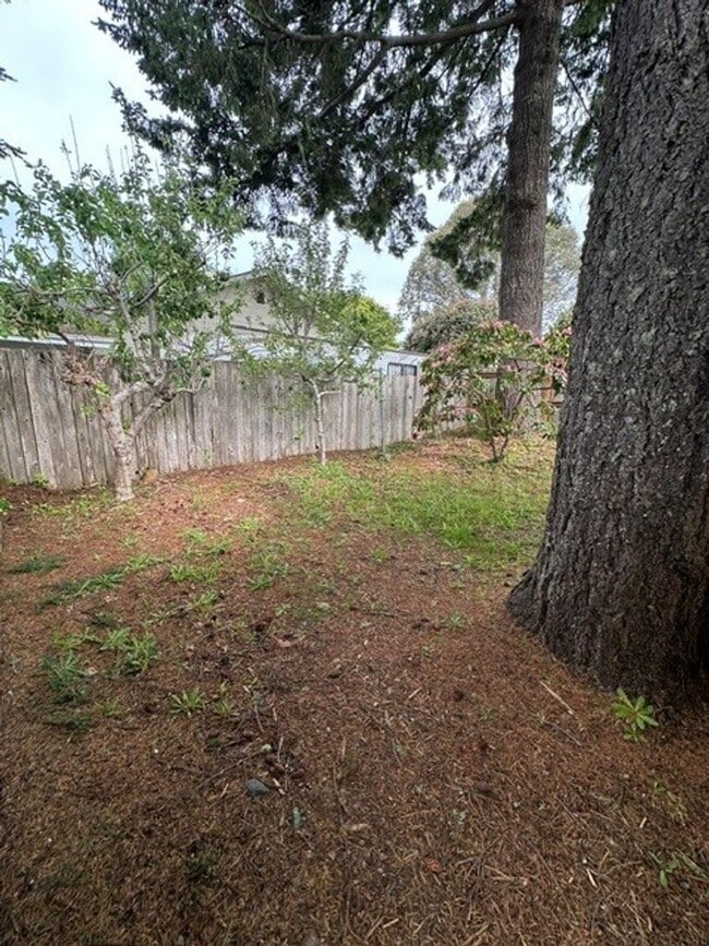Building Photo - 805 Cameo Ct