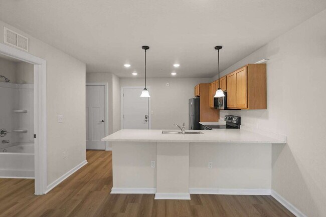 Foto del edificio - 260 Spanish Moss Cir