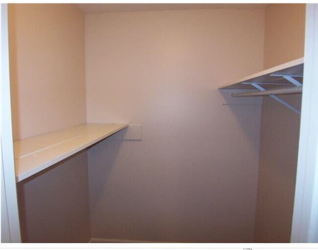 Walk in closet 1 - 169 North Timber Drive