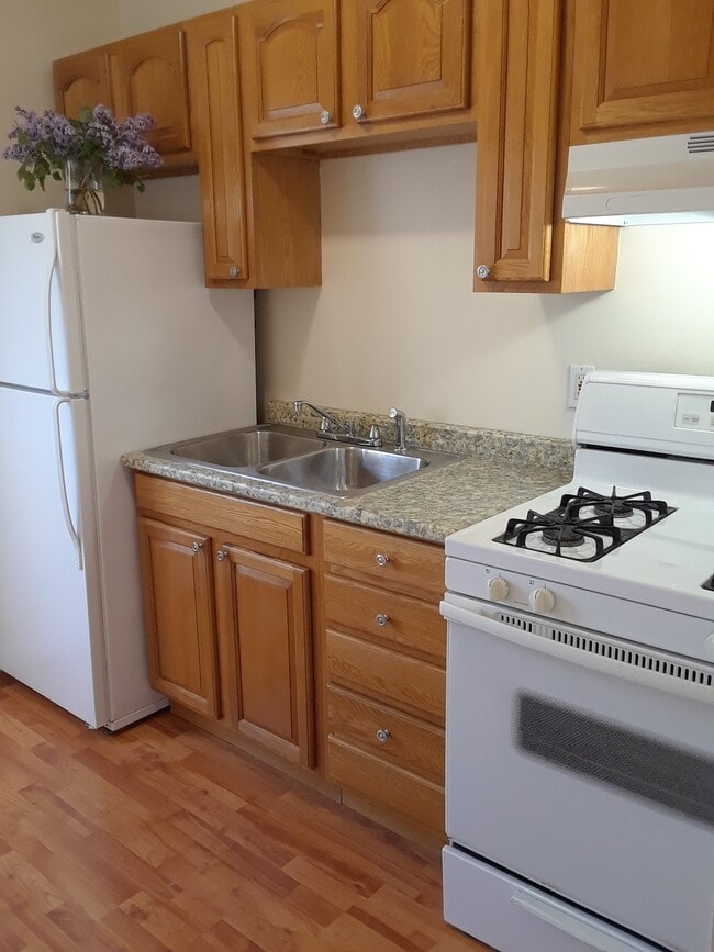 Kitchen - 32 Norfolk St