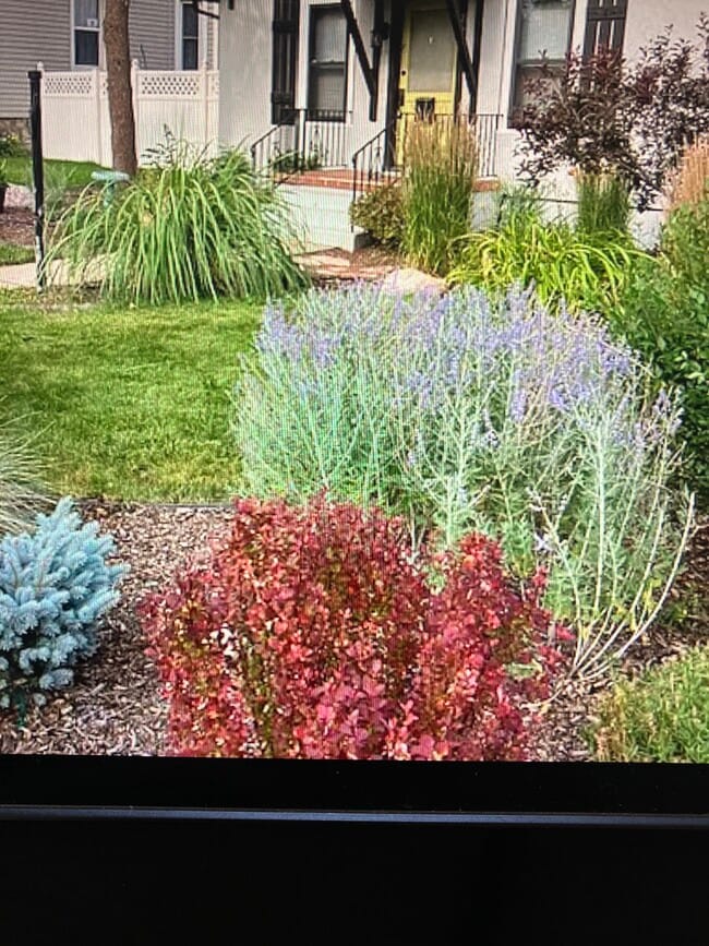 Photo - 2423 N Nevada Ave House