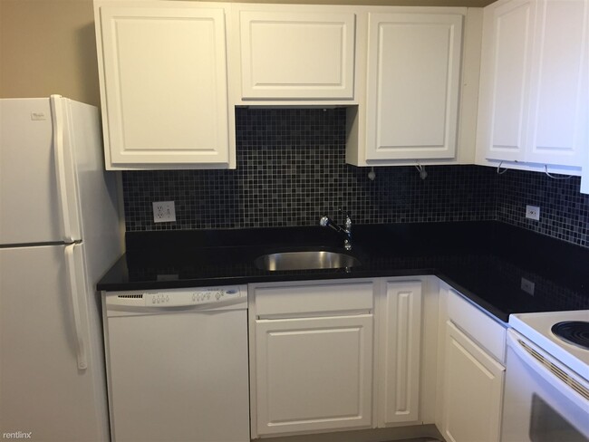 Building Photo - 1 br, 1 bath Condo - 10 E Ontario St APT 4905