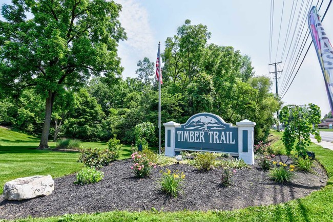 Building Photo - Timber Trail Apartments