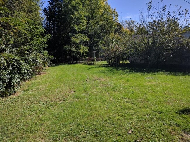 Back yard - 3420 N Leroy Ave