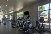 Located at 465 W San Carlos St in San Jose, California, this fitness center offers a well-appointed, single-floor space designed to support a comprehensive workout experience. The layout is thoughtfully organized into distinct functional zones, maximizing the use of the generous open floor plan throughout.

The cardio area is lined with Matrix treadmills, elliptical trainers, upright and recumbent bikes, and a stationary cycling bike, all positioned to take advantage of the large floor-to-ceiling windows and glass doors that flood the space with natural light and offer views of the surrounding greenery. Wall-mounted flat-screen TVs provide entertainment during workouts, and a ceiling fan contributes to a comfortable environment.

The strength and functional training area features a robust selection of selectorized weight machines, a cable system, a freestanding adjustable bench, and a dedicated free weights section stocked with dumbbells and medicine balls. A full-length mirror wall visually expands the space and aids in proper form. Exposed silver ductwork runs along the ceiling, adding an industrial aesthetic that contrasts with the vibrant teal accent wall. Durable rubber flooring covers the entire facility, ensuring safety and stability. Recessed lighting and ceiling fans complete the clean, modern interior.