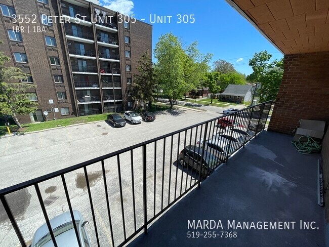 Photo du bâtiment - SPACIOUS 1BED/1BATH -LOCATED IN SANDWICH T...