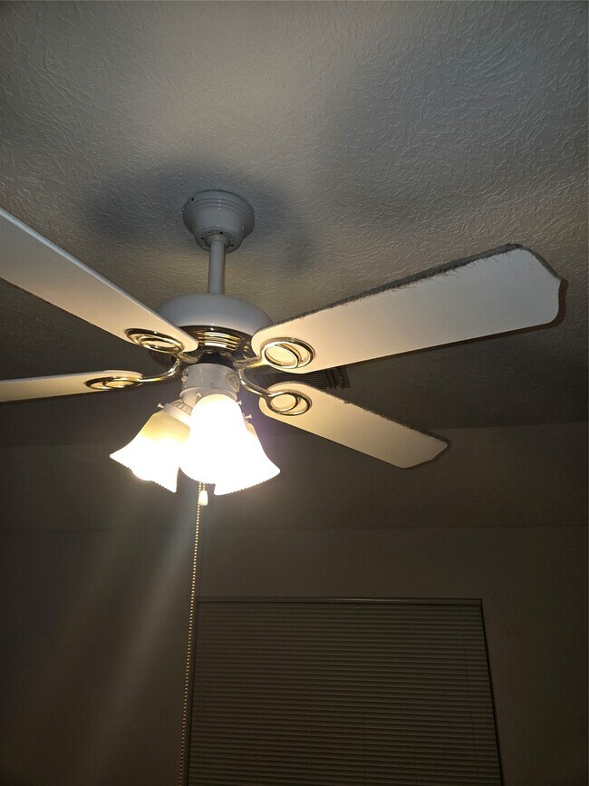 Foto del edificio - 938 Birnham Woods Blvd