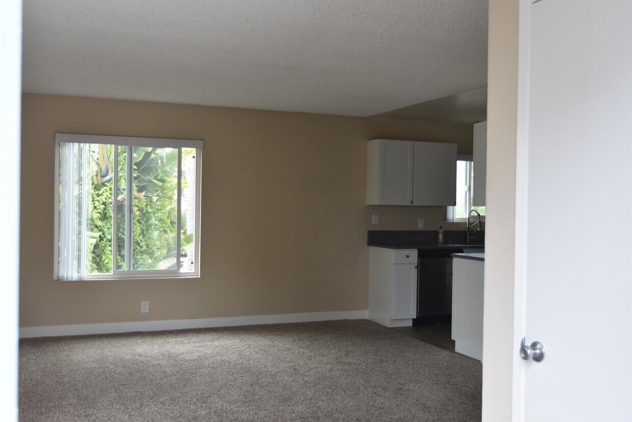 253 Tamarack Ave Unit 255E, Carlsbad, CA 92008 Apartment for Rent in Carlsbad, CA