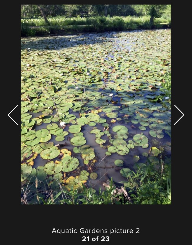 Aquatic Gardens - 1313 45th Pl NE