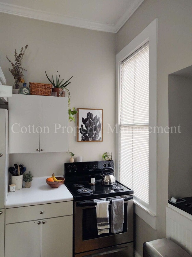 Building Photo - STUDIO/1BA unit in Downtown Wilmington - $900/month - Cat friendly* - Water/Sewer/Trash included!