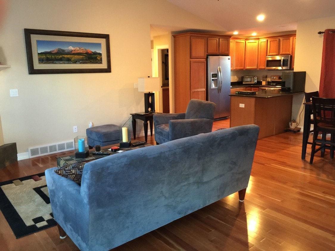 Livingroom - Kitchen - 410 Appletree Ct