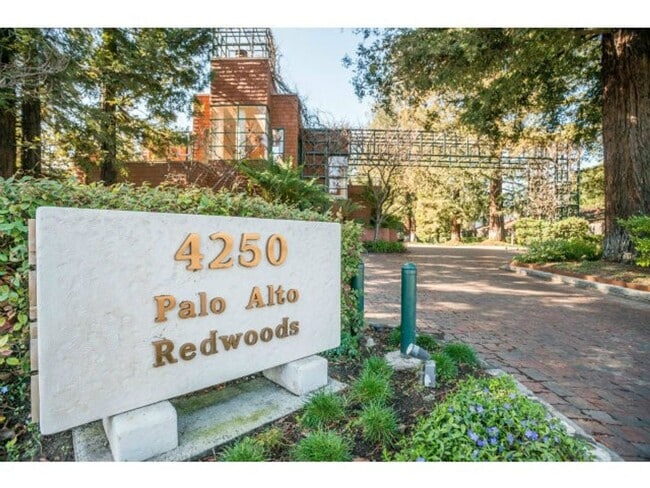 Beautiful and Updated South Palo Alto End ... - Beautiful and Updated South Palo Alto End ... Apartment