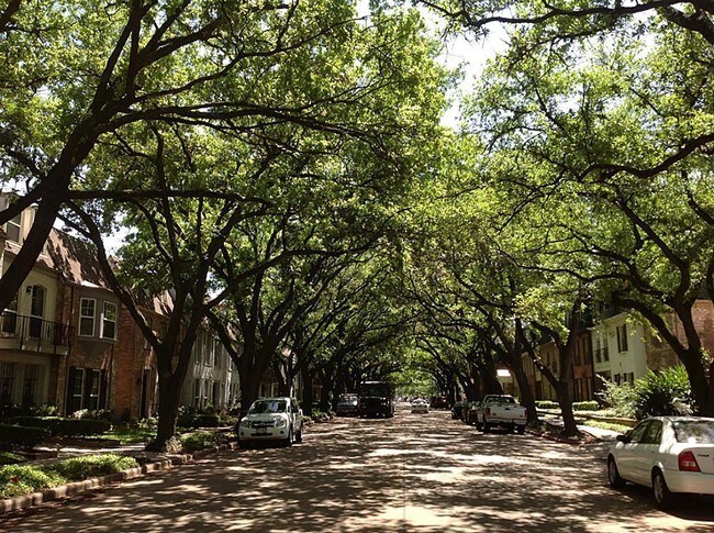 Foto del edificio - 359 N Post Oak Ln