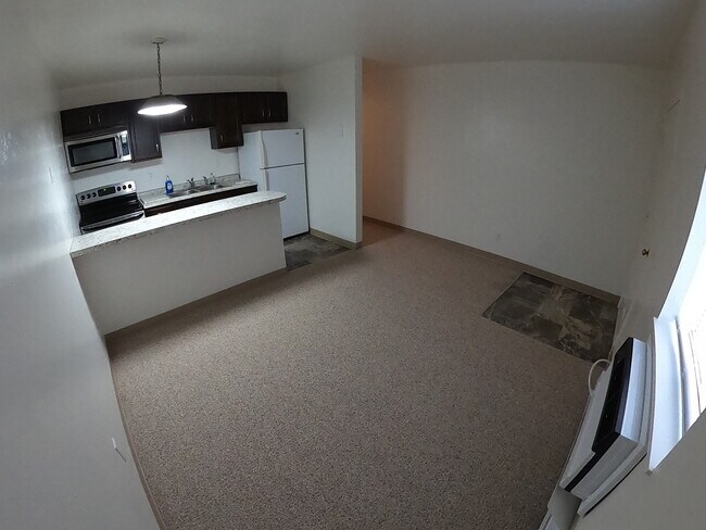 Kitchen/Living Room - 506 E Maple St