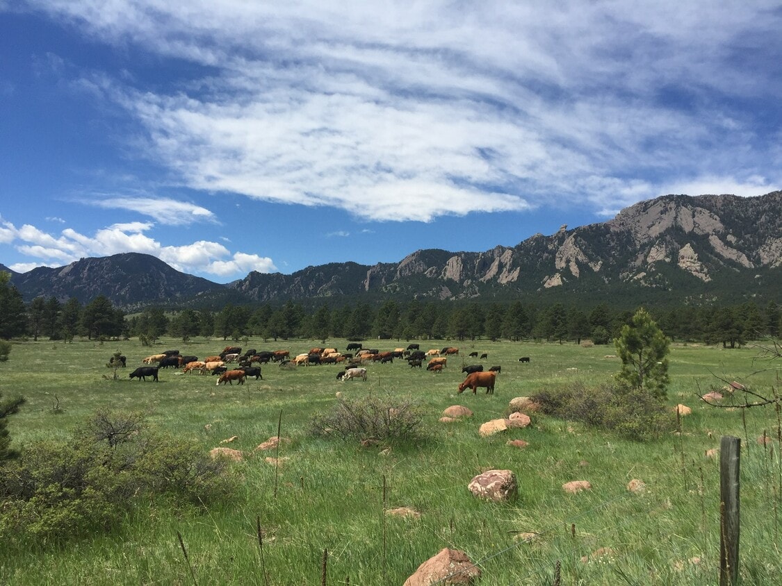 3502 Smuggler Way, Boulder, CO 80305 Townhome Rentals in Boulder CO