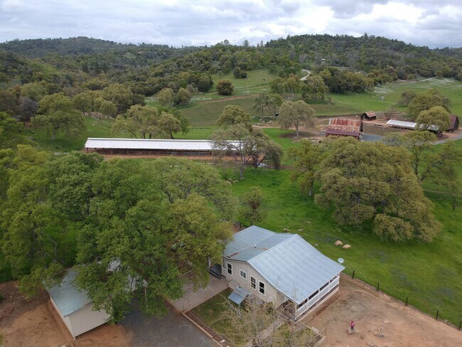 Foto del edificio - Vineyard Living!  Amazing Hillside Views! ...