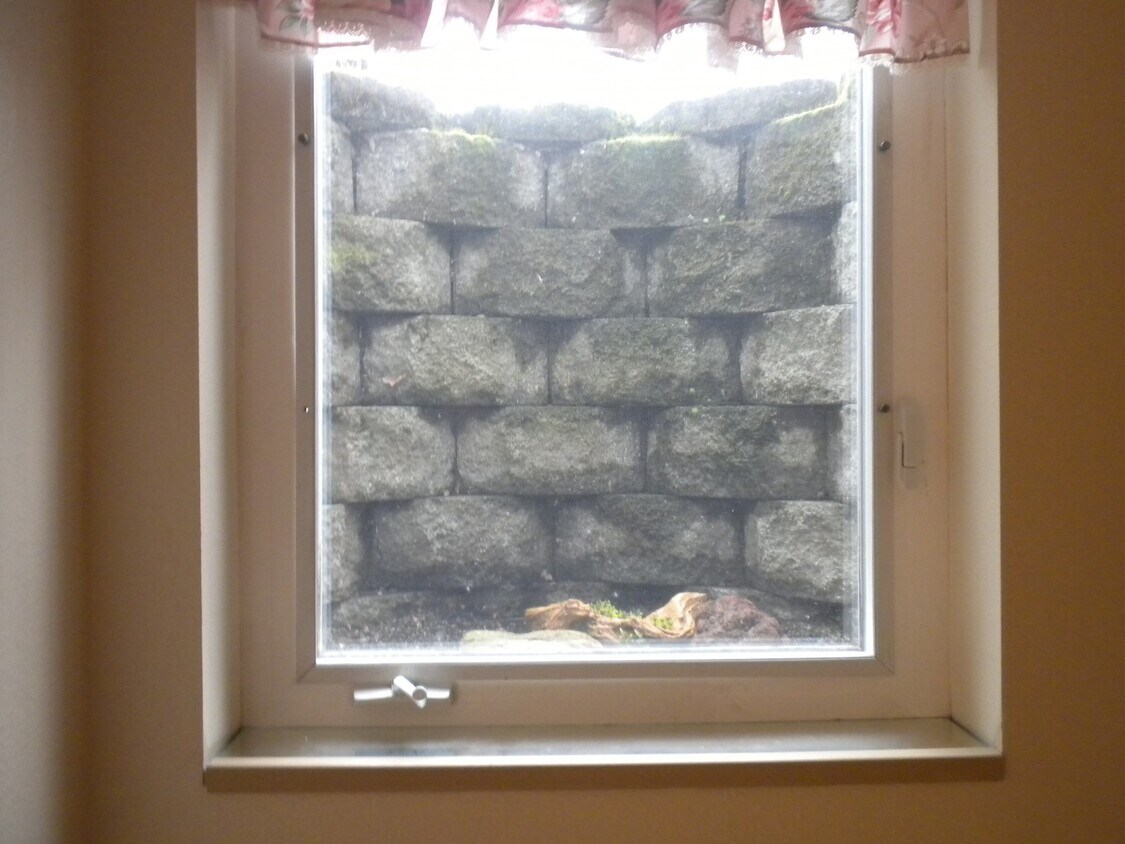 Primary Photo - Lower Level Duplex