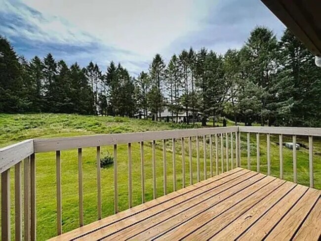 Hermosa vista del patio trasero privado desde el balcón. - 18475 Brookfield Lake Dr