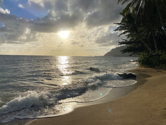 Building Photo - Upgraded Beachfront Studio Apartment in Ha...