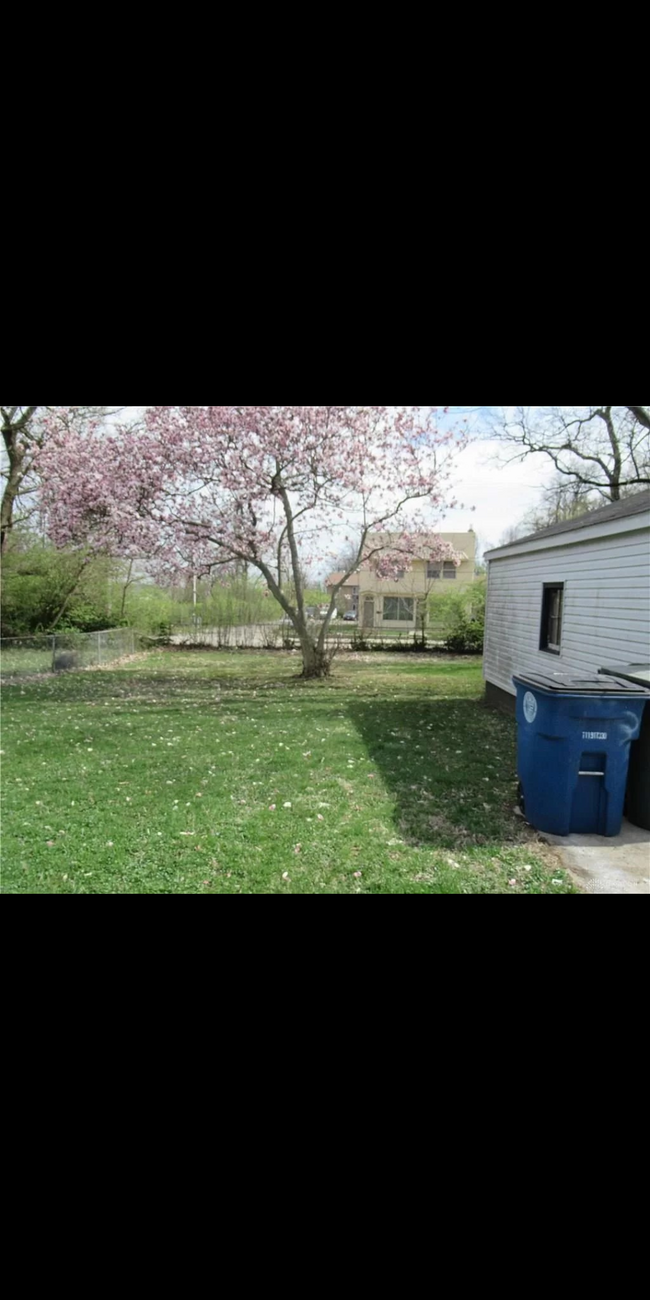 Backyard - 3356 Forent Ave