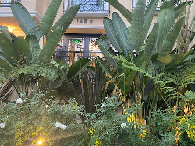 Foto del edificio - 145 S Doheny Dr