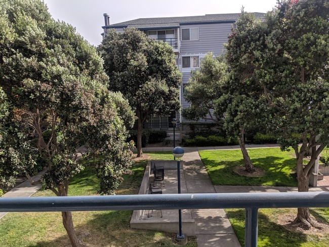 Building Photo - 1205 Melville Square