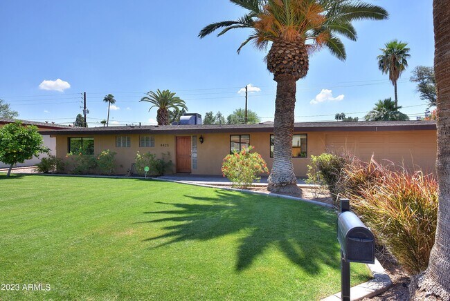 Building Photo - 4425 E Calle Allegre