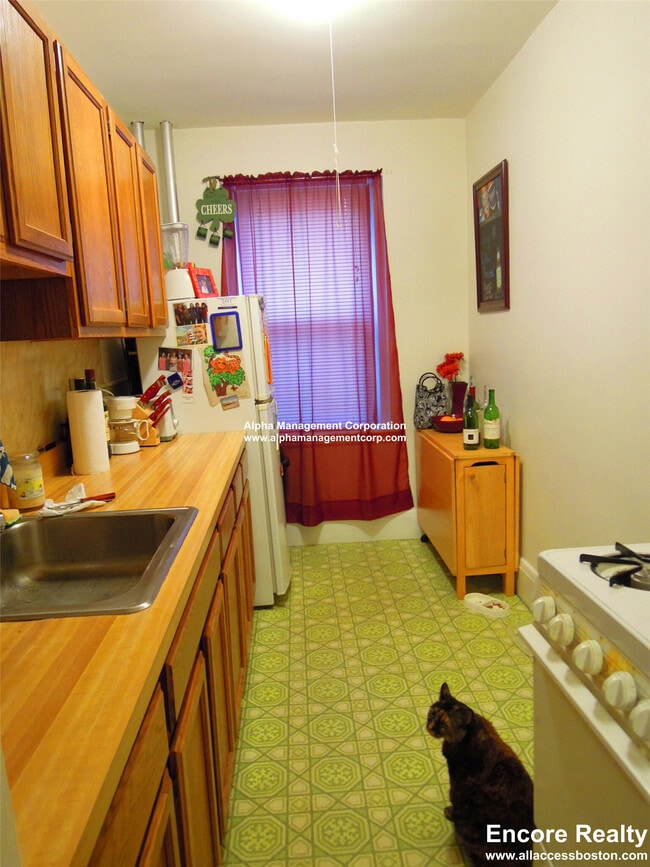 Foto del edificio - 349 Pleasant St