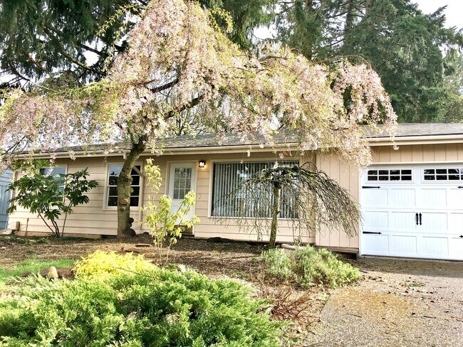 Foto del edificio - Wilkes Neighborhood Classic Ranch on Huge Lot with Nicely Finished Basement